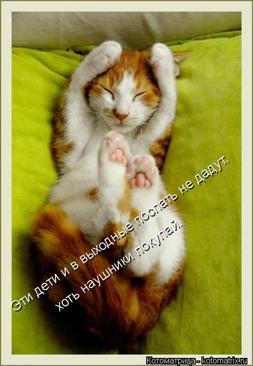 Эти дети и в выходные поспать не дадут, хоть наушники покупай.... Котоматрица: Эти дети и в выходные поспать не дадут, хоть наушники покупай.