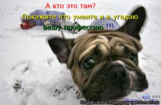 А кто это там? Покажите что умеите и я угадаю вашу профессию !!!... Котоматрица: А кто это там? Покажите что умеите и я угадаю вашу профессию !!!