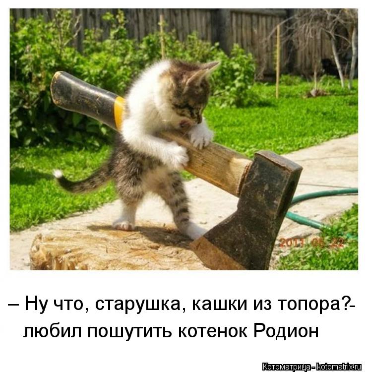 – Ну что, старушка, кашки из топора? любил пошутить котенок Родион -... Котоматрица: – Ну что, старушка, кашки из топора? любил пошутить котенок Родион -