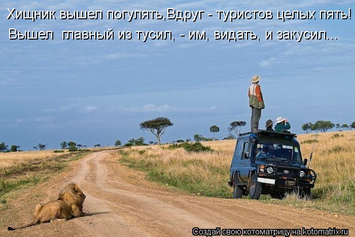 Хищник вышел погулять,Вдруг - туристов целых пять! Вышел главный из тусил, - им, видать, и закусил..... Котоматрица: Хищник вышел погулять,Вдруг - туристов целых пять! Вышел главный из тусил, - им, видать, и закусил...