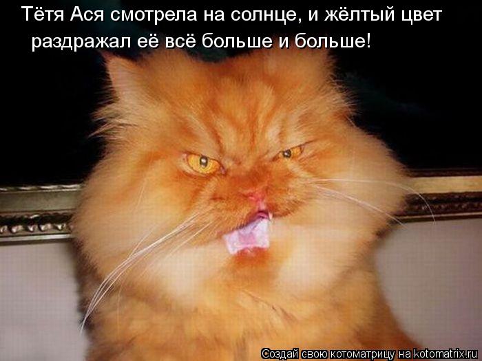 Тётя Ася смотрела на солнце, и жёлтый цвет раздражал её всё больше и больше!... Котоматрица: Тётя Ася смотрела на солнце, и жёлтый цвет раздражал её всё больше и больше!