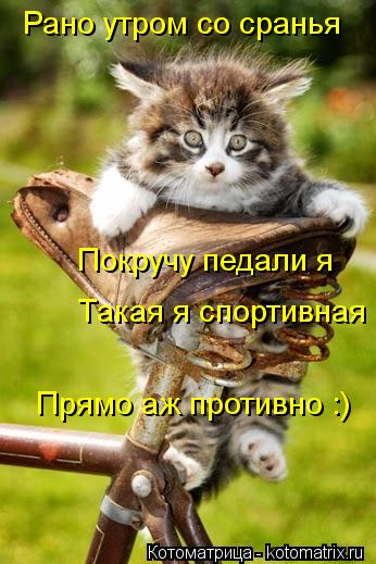 Рано утром со сранья Покручу педали я Такая я спортивная Прямо аж противно :)... Котоматрица: Рано утром со сранья Покручу педали я Такая я спортивная Прямо аж противно :)