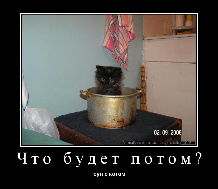 Что будет потом? суп с котом... Котоматрица: Что будет потом? суп с котом