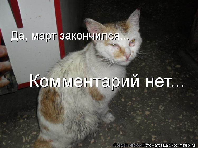 Котоматрица: Да, март закончился... Комментарий нет...