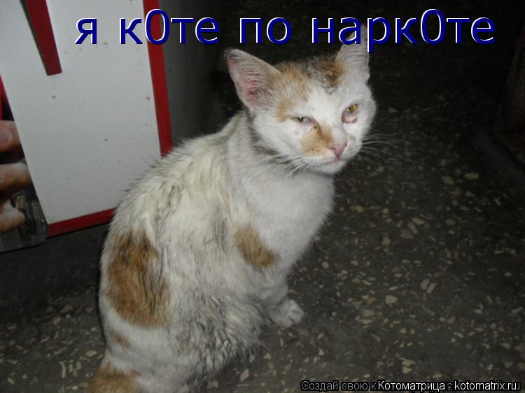 я к0те по нарк0те я к0те по нарк0те... Котоматрица: я к0те по нарк0те я к0те по нарк0те
