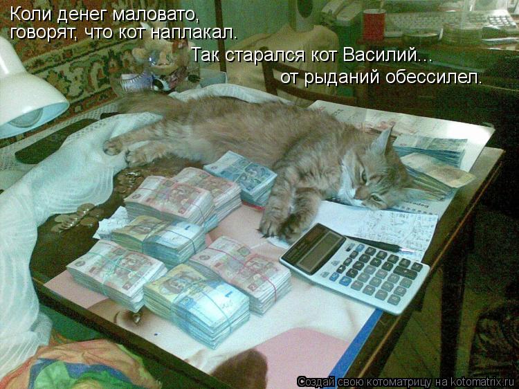 Коли денег маловато, говорят, что кот наплакал. Так старался кот Василий... от рыданий обессилел.... Котоматрица: Коли денег маловато, говорят, что кот наплакал. Так старался кот Василий... от рыданий обессилел.