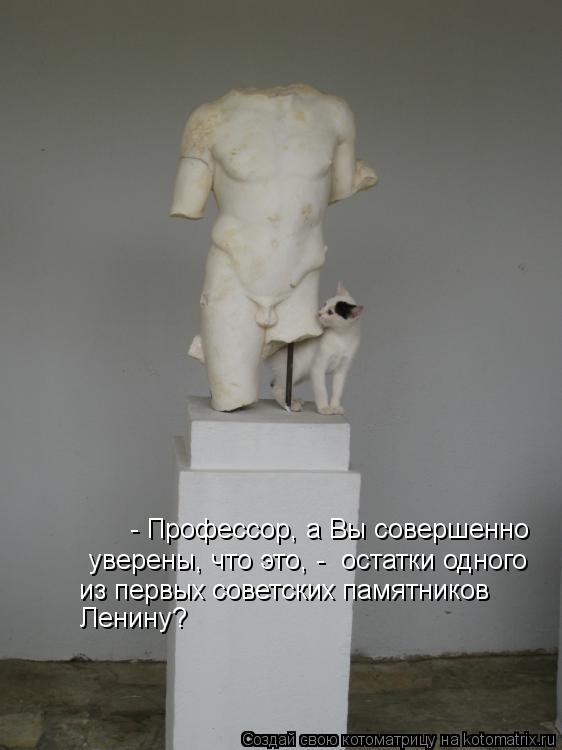 Котоматрица: - Профессор, а Вы совершенно  уверены, что это, -  остатки одного из первых советских памятников Ленину?