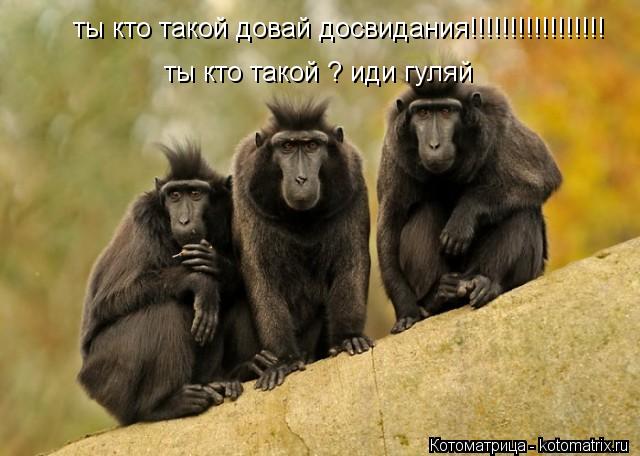 ты кто такой довай досвидания!!!!!!!!!!!!!!!!! ты кто такой ? иди гуляй... Котоматрица: ты кто такой довай досвидания!!!!!!!!!!!!!!!!! ты кто такой ? иди гуляй