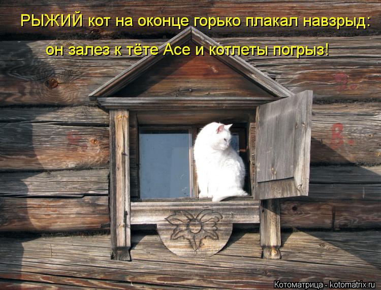 Котоматрица: РЫЖИЙ кот на оконце горько плакал навзрыд: он залез к тёте Асе и котлеты погрыз!