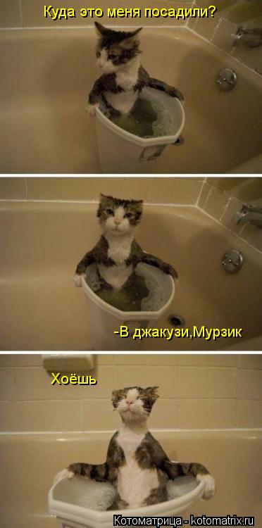 Куда это меня посадили? -В джакузи,Мурзик Хоёшь... Котоматрица: Куда это меня посадили? -В джакузи,Мурзик Хоёшь