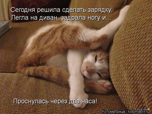 Котоматрица: Сегодня решила сделать зарядку. Легла на диван, задрала ногу и... Проснулась через два часа!