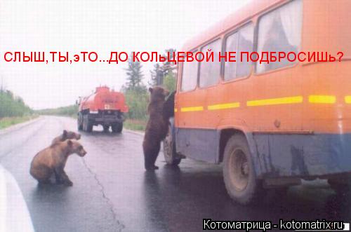 СЛЫШ,ТЫ,эТО...ДО КОЛьЦЕВОЙ НЕ ПОДБРОСИШь? СЛЫШ,ТЫ,эТО...ДО КОЛьЦЕВОЙ НЕ ПОДБРОСИШь?... Котоматрица: СЛЫШ,ТЫ,эТО...ДО КОЛьЦЕВОЙ НЕ ПОДБРОСИШь? СЛЫШ,ТЫ,эТО...ДО КОЛьЦЕВОЙ НЕ ПОДБРОСИШь?