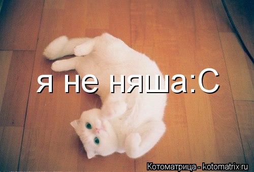 я не няша:С... Котоматрица: я не няша:С