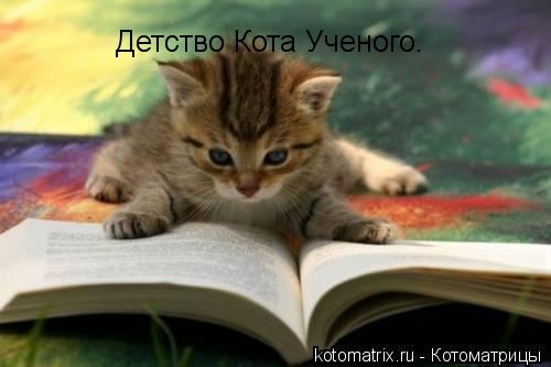 Детство Кота Ученого.... Котоматрица: Детство Кота Ученого.