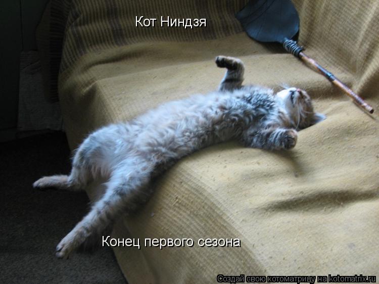Конец первого сезона Кот Ниндзя... Котоматрица: Конец первого сезона Кот Ниндзя