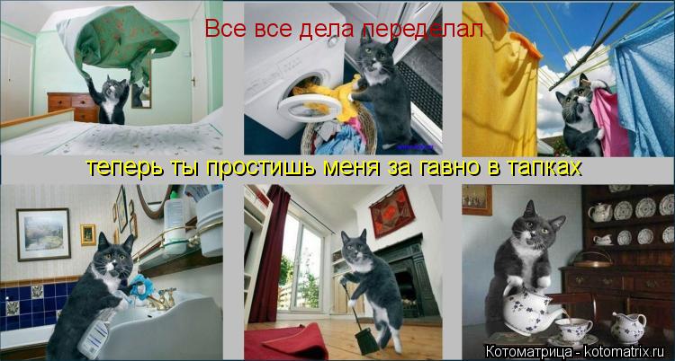 Все все дела переделал теперь ты простишь меня за гавно в тапках... Котоматрица: Все все дела переделал теперь ты простишь меня за гавно в тапках