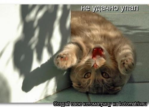 не удачно упал... Котоматрица: не удачно упал