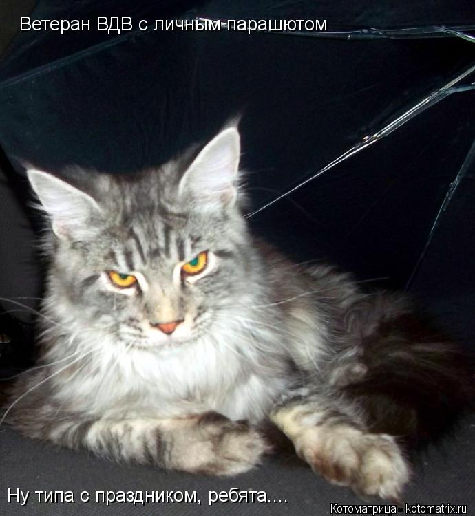 Ветеран ВДВ с личным парашютом Ну типа с праздником, ребята....... Котоматрица: Ветеран ВДВ с личным парашютом Ну типа с праздником, ребята....