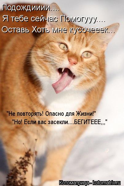 Подождииии.... Я тебе сейчас Помогууу.... Оставь Хоть мне кусочееек... "Не повторять! Опасно для Жизн... Котоматрица: Подождииии.... Я тебе сейчас Помогууу.... Оставь Хоть мне кусочееек... "Не повторять! Опасно для Жизни!" "Но! Если вас засекли....БЕГИТЕЕЕ,,,"