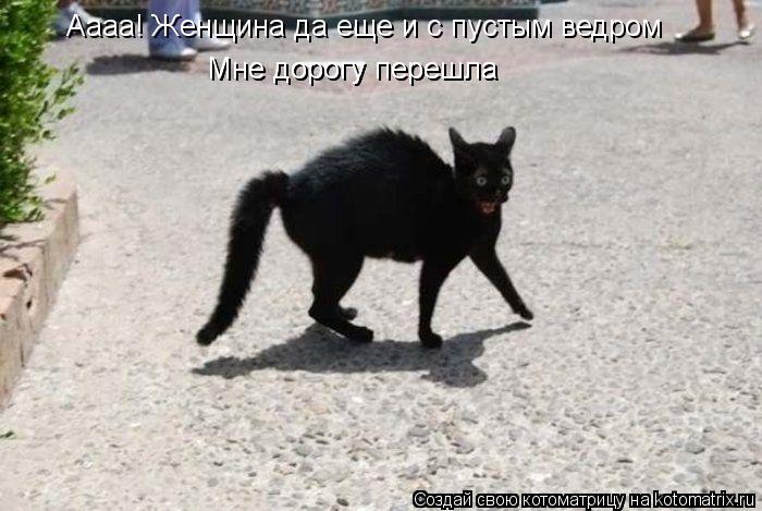 Аааа! Женщина да еще и с пустым ведром Мне дорогу перешла Мне дорогу перешла... Котоматрица: Аааа! Женщина да еще и с пустым ведром Мне дорогу перешла Мне дорогу перешла