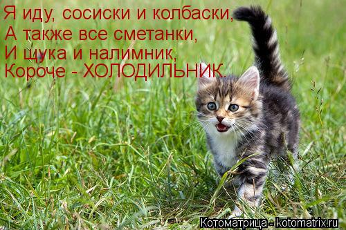 Я иду, сосиски и колбаски, А также все сметанки, И щука и налимник, Короче - ХОЛОДИЛЬНИК.... Котоматрица: Я иду, сосиски и колбаски, А также все сметанки, И щука и налимник, Короче - ХОЛОДИЛЬНИК.