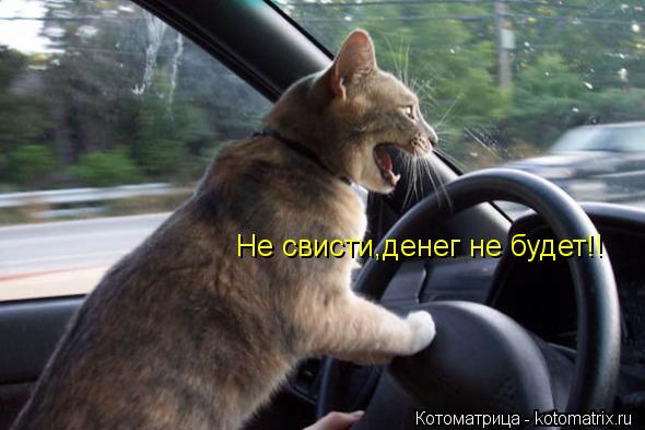Котоматрица: Не свисти,денег не будет!!