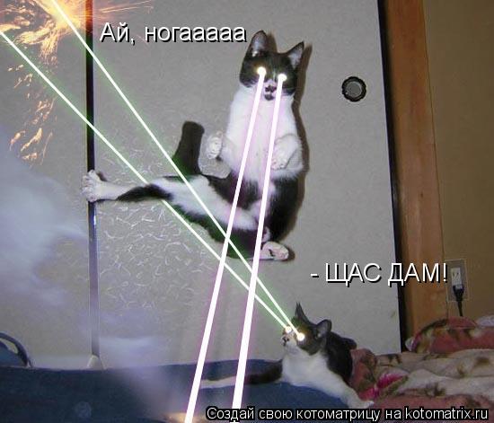 Котоматрица: - ЩАС ДАМ! Ай, ногааааа