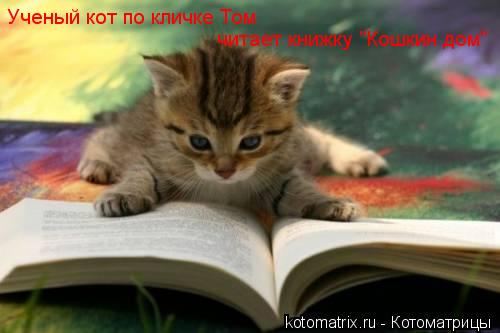 Ученый кот по кличке Том читает книжку "Кошкин дом"... Котоматрица: Ученый кот по кличке Том читает книжку "Кошкин дом"