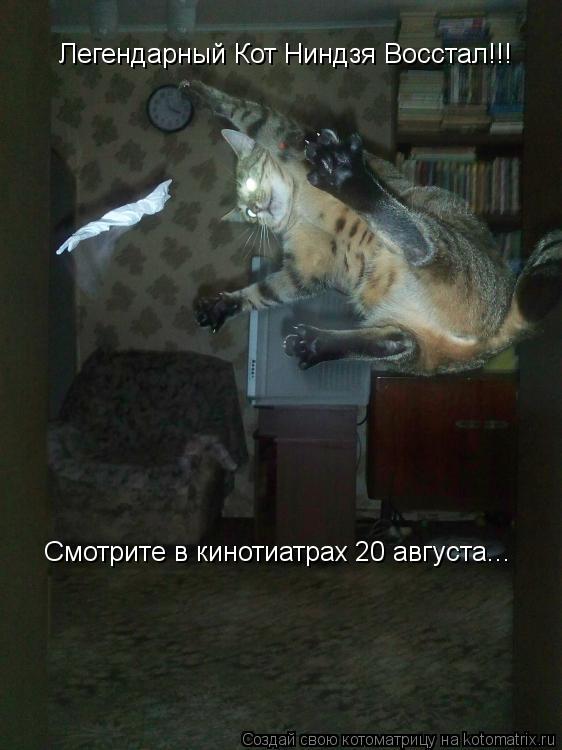 Легендарный Кот Ниндзя Восстал!!! Смотрите в кинотиатрах 20 августа...... Котоматрица: Легендарный Кот Ниндзя Восстал!!! Смотрите в кинотиатрах 20 августа...