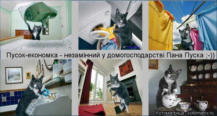 Пусок-економка - незамінний у домогосподарстві Пана Пуска ;-))... Котоматрица: Пусок-економка - незамінний у домогосподарстві Пана Пуска ;-))