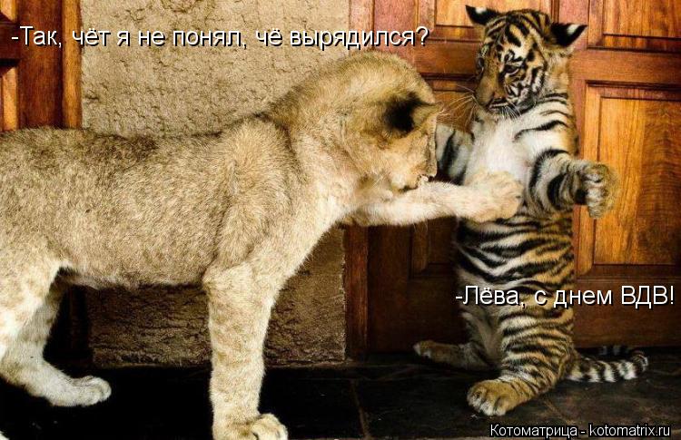 -Лёва, с днем ВДВ! -Так, чёт я не понял, чё вырядился?... Котоматрица: -Лёва, с днем ВДВ! -Так, чёт я не понял, чё вырядился?