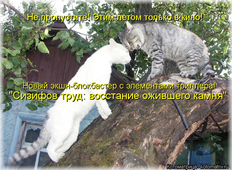 Не пропустите! Этим летом только в кино! Новый экшн-блокбастер с элементами триллера! "Сизифов труд: ... Котоматрица: Не пропустите! Этим летом только в кино! Новый экшн-блокбастер с элементами триллера! "Сизифов труд: восстание ожившего камня"