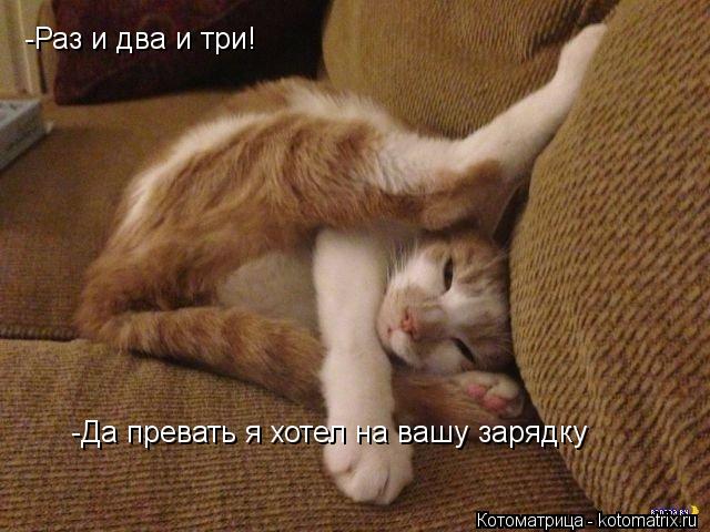 -Раз и два и три! -Да превать я хотел на вашу зарядку... Котоматрица: -Раз и два и три! -Да превать я хотел на вашу зарядку