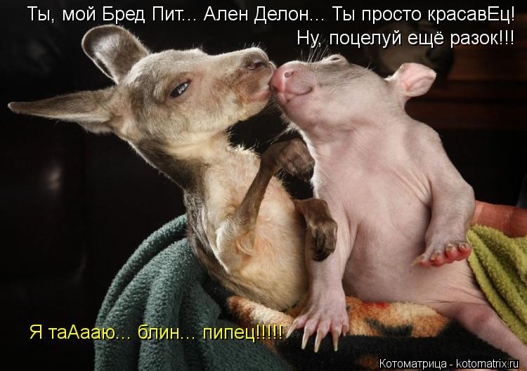 Ты, мой Бред Пит... Ален Делон... Ты просто красавЕц! Ну, поцелуй ещё разок!!! Я таАааю... блин... п... Котоматрица: Ты, мой Бред Пит... Ален Делон... Ты просто красавЕц! Ну, поцелуй ещё разок!!! Я таАааю... блин... пипец!!!!!