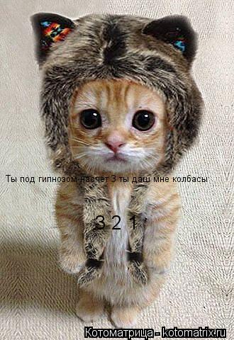 Ты под гипнозом насчёт 3 ты даш мне колбасы 3 2 1... Котоматрица: Ты под гипнозом насчёт 3 ты даш мне колбасы 3 2 1
