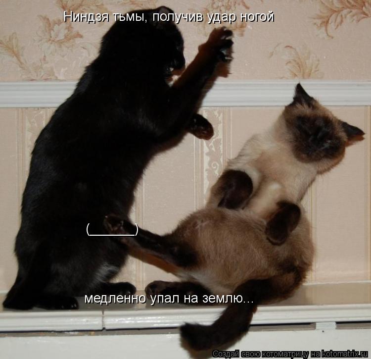 Ниндзя тьмы, получив удар ногой медленно упал на землю... (______)... Котоматрица: Ниндзя тьмы, получив удар ногой медленно упал на землю... (______)