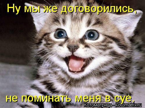 Ну мы же договорились, не поминать меня в суе.... Котоматрица: Ну мы же договорились, не поминать меня в суе.