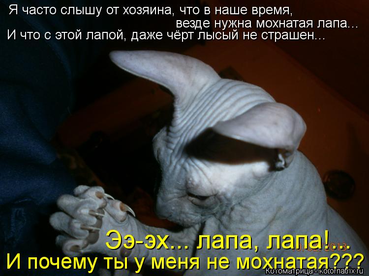 Я часто слышу от хозяина, что в наше время, И что с этой лапой, даже чёрт лысый не страшен... Ээ-эх.... Котоматрица: Я часто слышу от хозяина, что в наше время, И что с этой лапой, даже чёрт лысый не страшен... Ээ-эх... лапа, лапа!... везде нужна мохнатая лапа... И