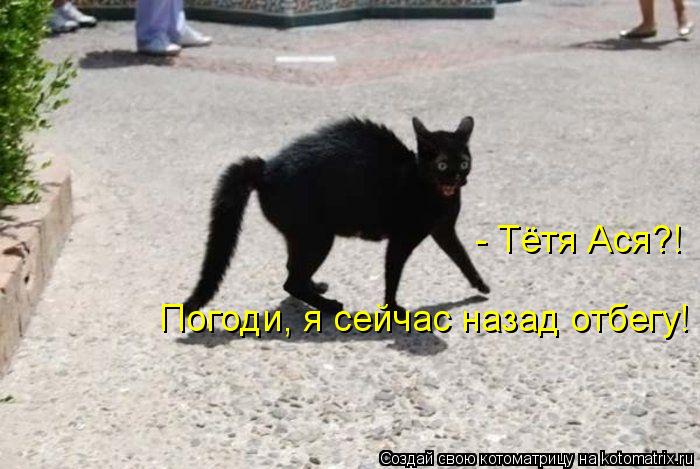 - Тётя Ася?! Погоди, я сейчас назад отбегу!... Котоматрица: - Тётя Ася?! Погоди, я сейчас назад отбегу!