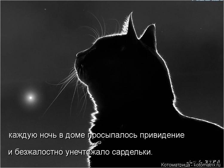 каждую ночь в доме просыпалось привидение и безжалостно унечтожало сардельки.... Котоматрица: каждую ночь в доме просыпалось привидение и безжалостно унечтожало сардельки.