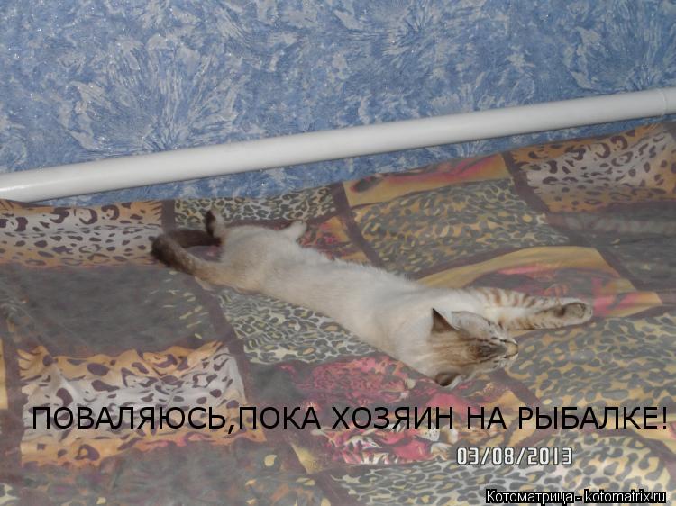 ПОВАЛЯЮСЬ,ПОКА ХОЗЯИН НА РЫБАЛКЕ!... Котоматрица: ПОВАЛЯЮСЬ,ПОКА ХОЗЯИН НА РЫБАЛКЕ!