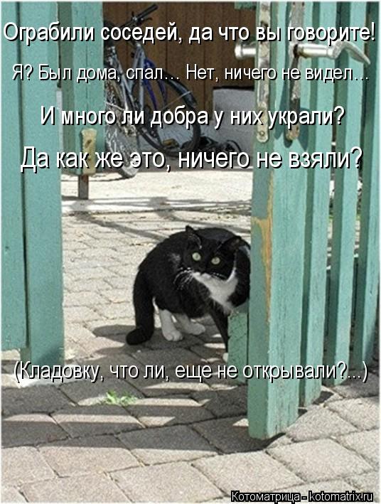 Ограбили соседей, да что вы говорите! Я? Был дома, спал… Нет, ничего не видел… И много ли добра у них... Котоматрица: Ограбили соседей, да что вы говорите! Я? Был дома, спал… Нет, ничего не видел… И много ли добра у них украли? (Кладовку, что ли, еще не открывал