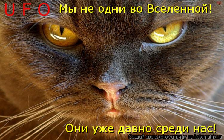 U F O Мы не одни во Вселенной! Они уже давно среди нас!... Котоматрица: U F O Мы не одни во Вселенной! Они уже давно среди нас!