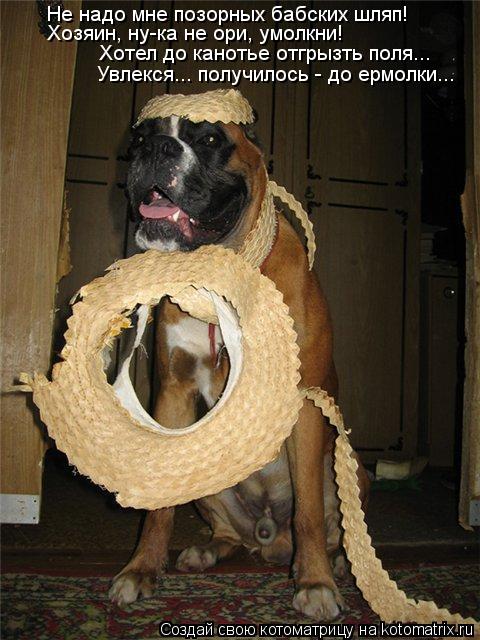 Не надо мне позорных бабских шляп! Хотел до канотье отгрызть поля... Хозяин, ну-ка не ори, умолкни! У... Котоматрица: Не надо мне позорных бабских шляп! Хотел до канотье отгрызть поля... Хозяин, ну-ка не ори, умолкни! Увлекся... получилось - до ермолки...