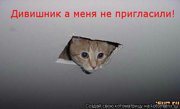 Дивишник а меня не пригласили!... Котоматрица: Дивишник а меня не пригласили!