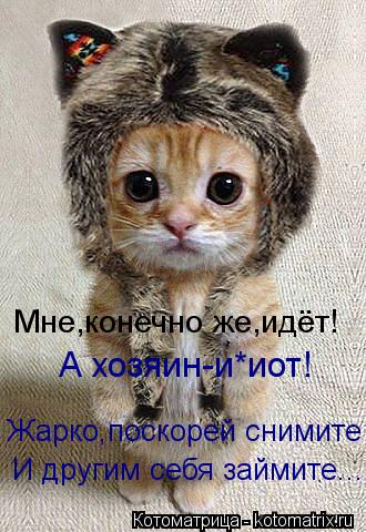 А хозяин-и*иот! Жарко,поскорей снимите И другим себя займите... Мне,конечно же,идёт!... Котоматрица: А хозяин-и*иот! Жарко,поскорей снимите И другим себя займите... Мне,конечно же,идёт!