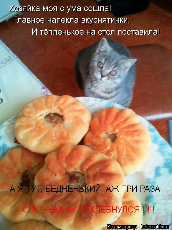 Хозяйка моя с ума сошла! Главное напекла вкуснятинки, И тёпленькое на стол поставила! А Я ТУТ, БЕДН... Котоматрица: Хозяйка моя с ума сошла! Главное напекла вкуснятинки, И тёпленькое на стол поставила! А Я ТУТ, БЕДНЕНЬКИЙ, АЖ ТРИ РАЗА СЛЮНЬКАМИ ЗАХЛЕБНУЛС