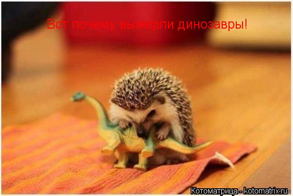 Вот почему вымерли динозавры!... Котоматрица: Вот почему вымерли динозавры!