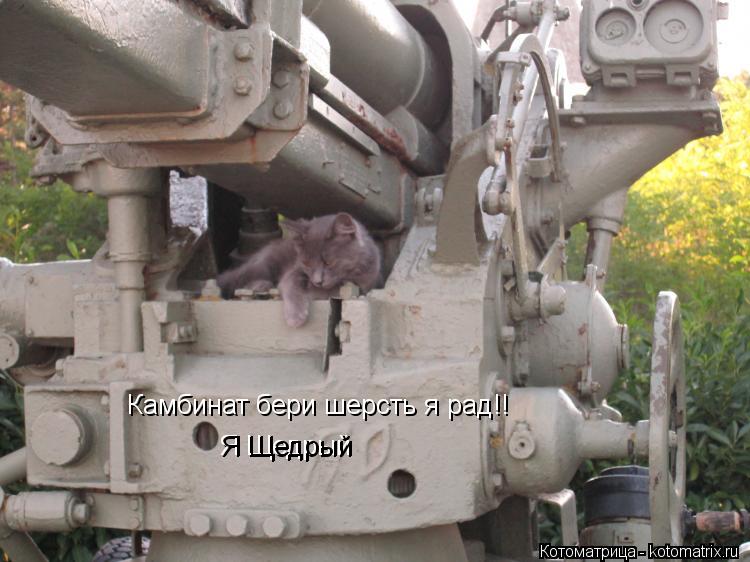 Камбинат бери шерсть я рад!! Я Щедрый Я Щедрый... Котоматрица: Камбинат бери шерсть я рад!! Я Щедрый Я Щедрый