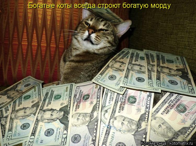 Богатые коты всегда строют богатую морду... Котоматрица: Богатые коты всегда строют богатую морду
